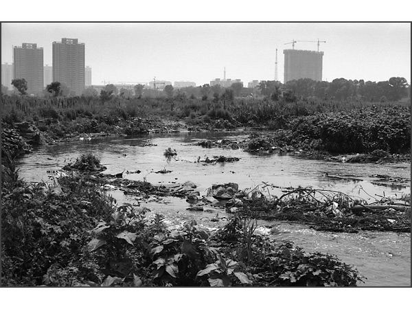 Andrew Ross - Humanity - Fen River, Taiyuan