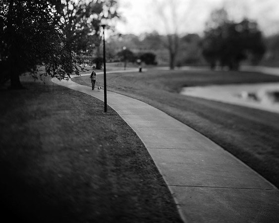 Andrew Ross - Transience - St. CHS Park I Andrew Ross - Transience - St. CHS Park I