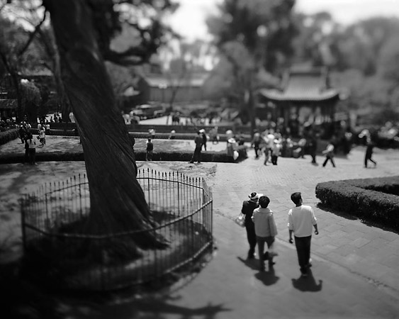 Andrew Ross - Transience - Jinci Temple Andrew Ross - Transience - Jinci Temple